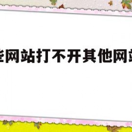 某些网站打不开其他网站正常(某些网站打不开其他网站正常吗)