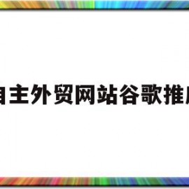 自主外贸网站谷歌推广(网站海外推广谷歌seo方案)