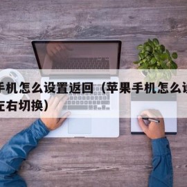 苹果手机怎么设置返回（苹果手机怎么设置返回键左右切换）