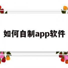 如何自制app软件(怎样自制app)