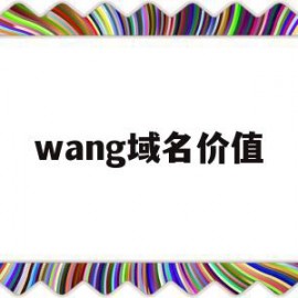 wang域名价值(net域名有价值吗)