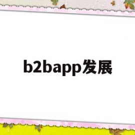 b2bapp发展(b2bapp有哪些)