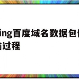 ping百度域名数据包传输过程(百度的域名是什么?ip地址又是什么?)