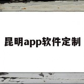 昆明app软件定制(昆明定制软件开发解决方案)