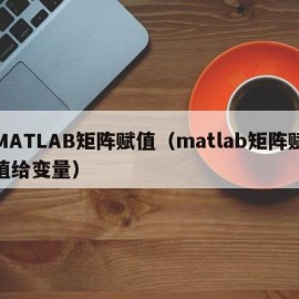 MATLAB矩阵赋值（matlab矩阵赋值给变量）