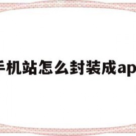 手机站怎么封装成app(手机站怎么封装成为app)