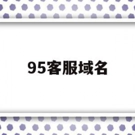 95客服域名(95服务是什么)