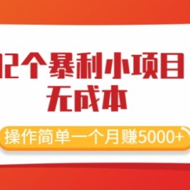 最新32个暴利小项目，无成本、操作简单一个月赚5000+