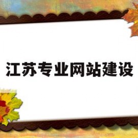 江苏专业网站建设(江苏建设类专业技术考试平台)