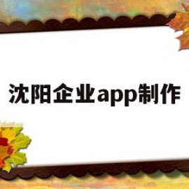 沈阳企业app制作(沈阳做app的公司有哪些)