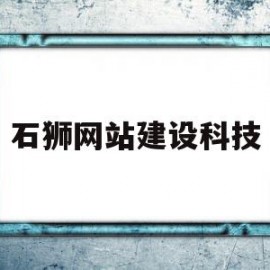 石狮网站建设科技(石狮市网上办事大厅)