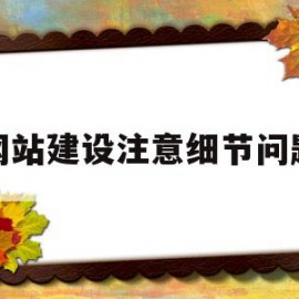 网站建设注意细节问题(网站建设的要点)