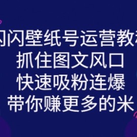 闪闪壁纸号运营教程，抓住图文风口，快速吸粉连爆，带你赚更多的米