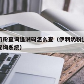 伊利奶粉查询追溯码怎么查（伊利奶粉追溯码怎么查询系统）