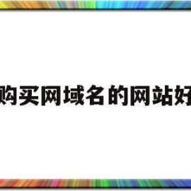 购买网域名的网站好(网站域名买了以后干什么)