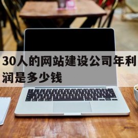 关于30人的网站建设公司年利润是多少钱的信息