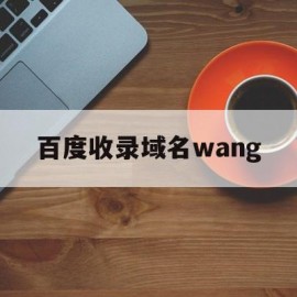 百度收录域名wang(百度收录域名网站名字更改)