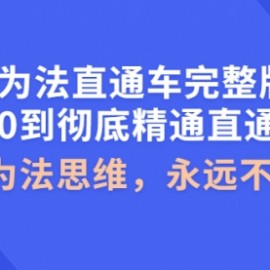 无为法直通车完整版：从0到彻底精通直通车，用无为法思维，永远不会亏损