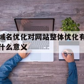 域名优化对网站整体优化有什么意义(域名优化对网站整体优化有什么意义和作用)