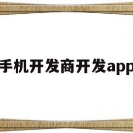 手机开发商开发app(手机软件开发商怎么挣钱)