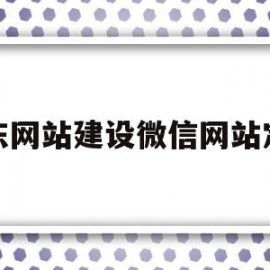 广东网站建设微信网站定制(广东网站建设公司)