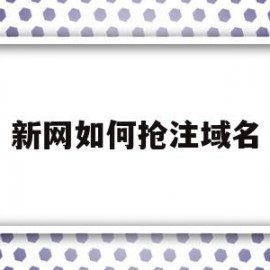 新网如何抢注域名(怎么抢注域名来挣钱?)