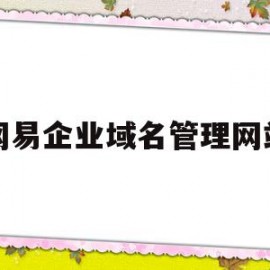 网易企业域名管理网站(网易企业域名管理网站是什么)