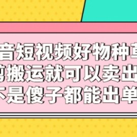 抖音短视频好物种草，混剪搬运就可以卖出货，不是傻子都能出单