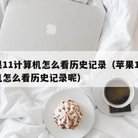 苹果11计算机怎么看历史记录（苹果11计算机怎么看历史记录呢）