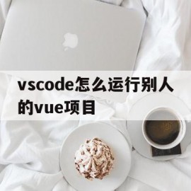 vscode怎么运行别人的vue项目(vscode怎么运行web项目)