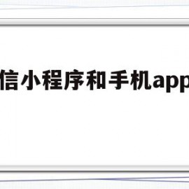 微信小程序和手机app开发(开发微信小程序和app的区别)