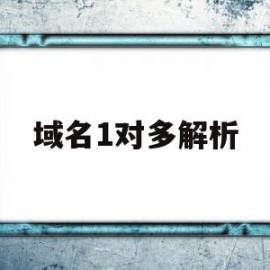 域名1对多解析(网址解析ip域名)