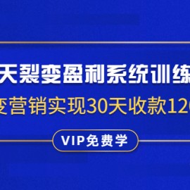 14天裂变盈利系统训练营：靠裂变营销实现30天收款1200万