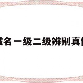 域名一级二级辨别真伪(域名一级二级辨别真伪查询)