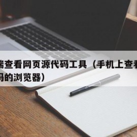 手机端查看网页源代码工具（手机上查看网页源代码的浏览器）