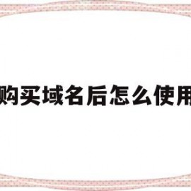 购买域名后怎么使用(购买域名后怎么使用手机)