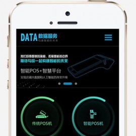 (自适应手机端)刷卡pos机金融数据支付电子科技公司网站