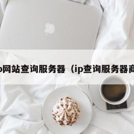 ip网站查询服务器（ip查询服务器商）