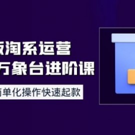 8月新版淘系运营达摩盘万象台进阶课：流程化、简单化操作快速起款