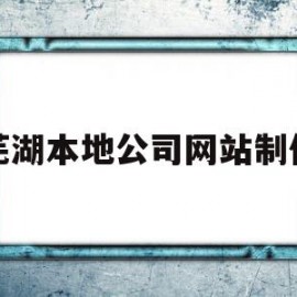 芜湖本地公司网站制作(芜湖本地公司网站制作公司)