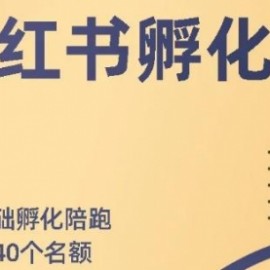 小红书撸金快速起量项目：教你如何快速起号获得曝光，做到月躺赚在3000+