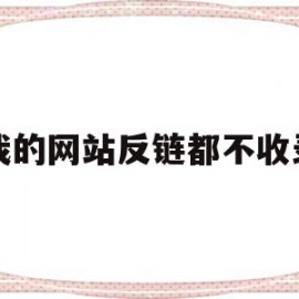 我的网站反链都不收录(我的网站反链都不收录怎么回事)