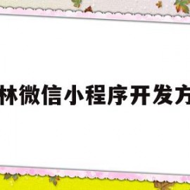 吉林微信小程序开发方案(开发微信小程序需要哪些技术)