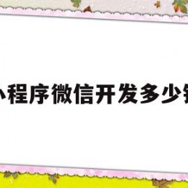 小程序微信开发多少钱(微信小程序开发一般多少钱)