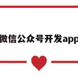 微信公众号开发app(微信公众号开发票)