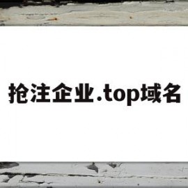 抢注企业.top域名(抢注域名有什么用)