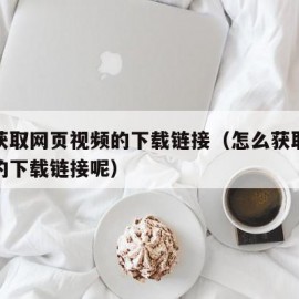 怎么获取网页视频的下载链接（怎么获取网页视频的下载链接呢）