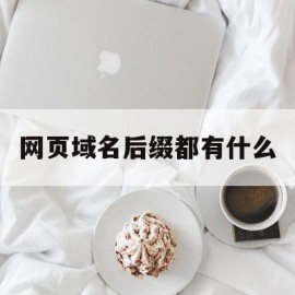 网页域名后缀都有什么(网页域名后缀都有什么意思)