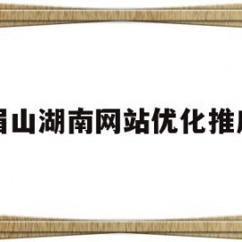 眉山湖南网站优化推广的简单介绍