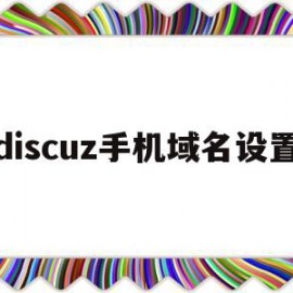 discuz手机域名设置(手机域名1怎么设置)